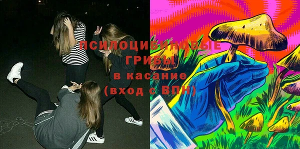 прущий лед Алзамай