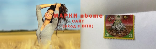 прущий лед Алзамай