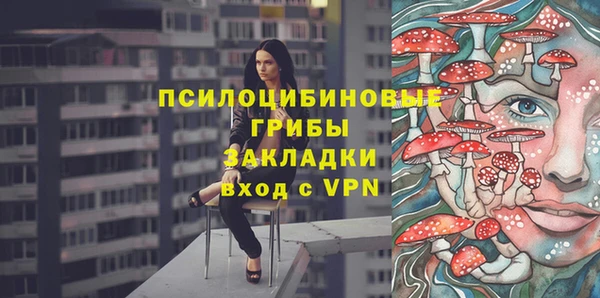 прущий лед Алзамай