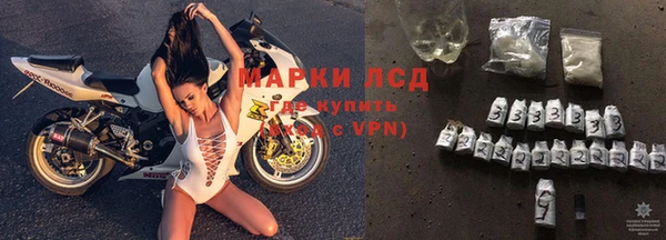 прущий лед Алзамай